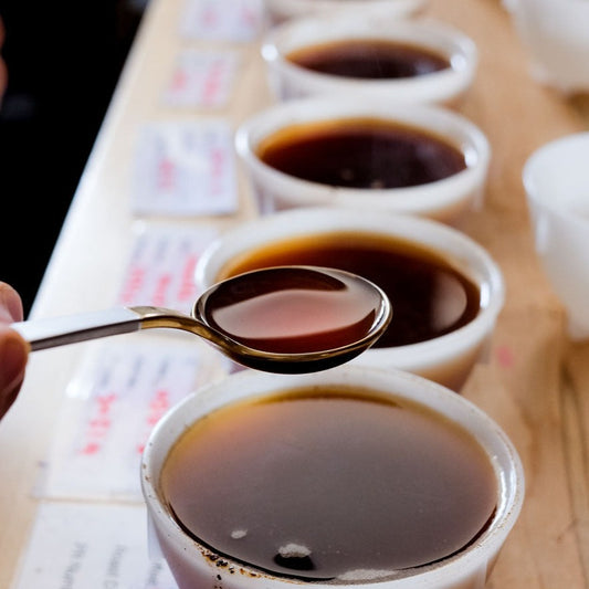 Coffee Cupping - 21.06